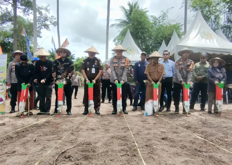 Dukung Swasembada Pangan, Polres Parigi Moutong dan Pemda Tanam Jagung Serentak