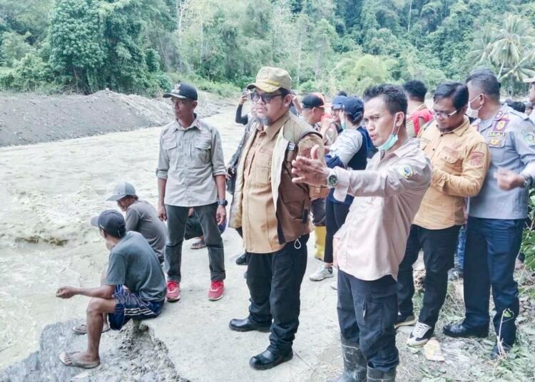 Pj Bupati Parigi Moutong Tinjau Lokasi Banjir di Palasa