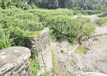 Irigasi Jebol, Ratusan Hektar sawah di Ampibabo Tak Tergarap