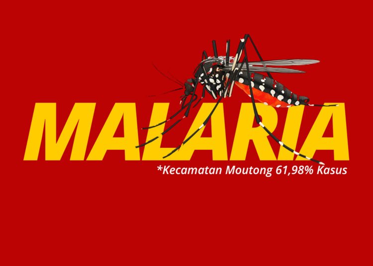 Kecamatan Moutong Dominasi Kasus Malaria, Kemenkes Rekomendasikan RDT