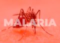Kasus Malaria di Parigi Moutong Bertambah, Dua Warga Sausu Dinyatakan Positif