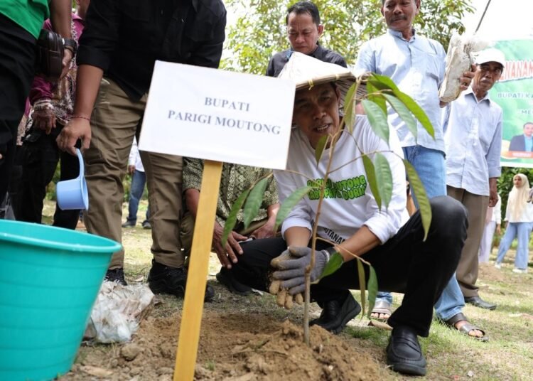 Bupati Erwin Burase: Durian Parigi Moutong Berpeluang Jadi Komoditas Ekspor Unggulan