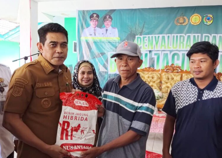 Bupati Parigi Moutong Serahkan 26.955 Kilogram Benih Jagung kepada Petani