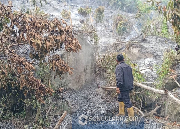 Satu Hektare Lahan Warga di Parigi Selatan Terbakar, Diduga Akibat Pembakaran Jerami