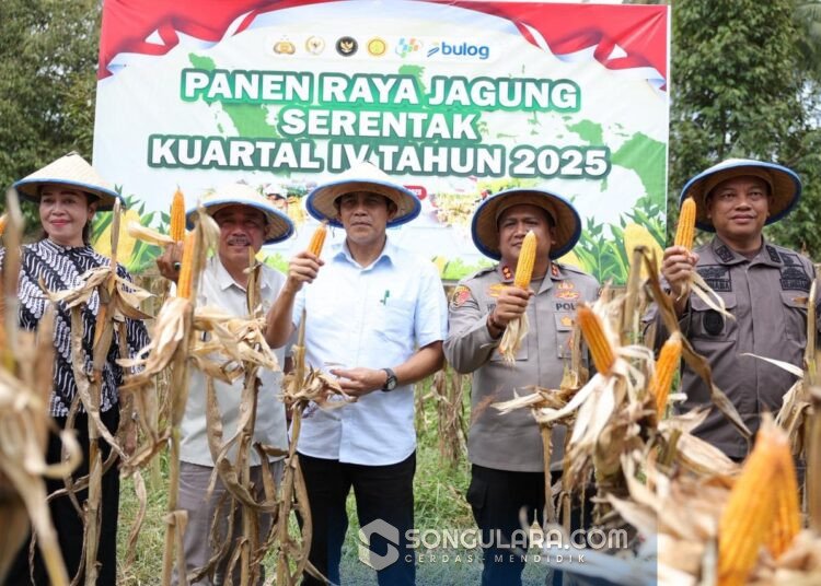 Di Panen Raya Jagung, Bupati Parigi Moutong Instruksikan OPD Siapkan Dukungan