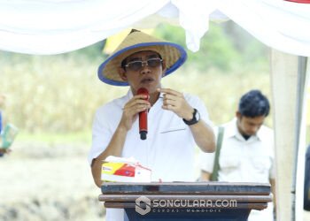 Kunjungan Menteri Transmigrasi ke Parigi Moutong Ditunda, Lima Kecamatan Akan Jadi Kawasan Transmigrasi