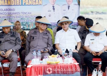 Gerakan Tanam Jagung di Lobu Mandiri, Bupati Erwin Dorong Lahan Tidur Produktif
