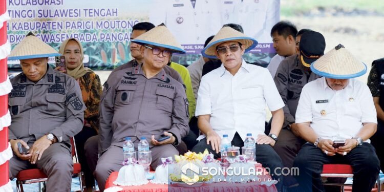 Gerakan Tanam Jagung di Lobu Mandiri, Bupati Erwin Dorong Lahan Tidur Produktif