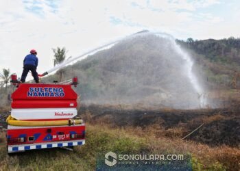 BPBD Catat Karhutla di Parigi Moutong Seluas 147 Hektare