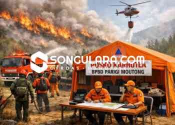 Kunjungi Parigi Moutong, Pangdam XXIII/Palaka Wira Tinjau Lahan untuk Pembangunan Denpom dan Korem