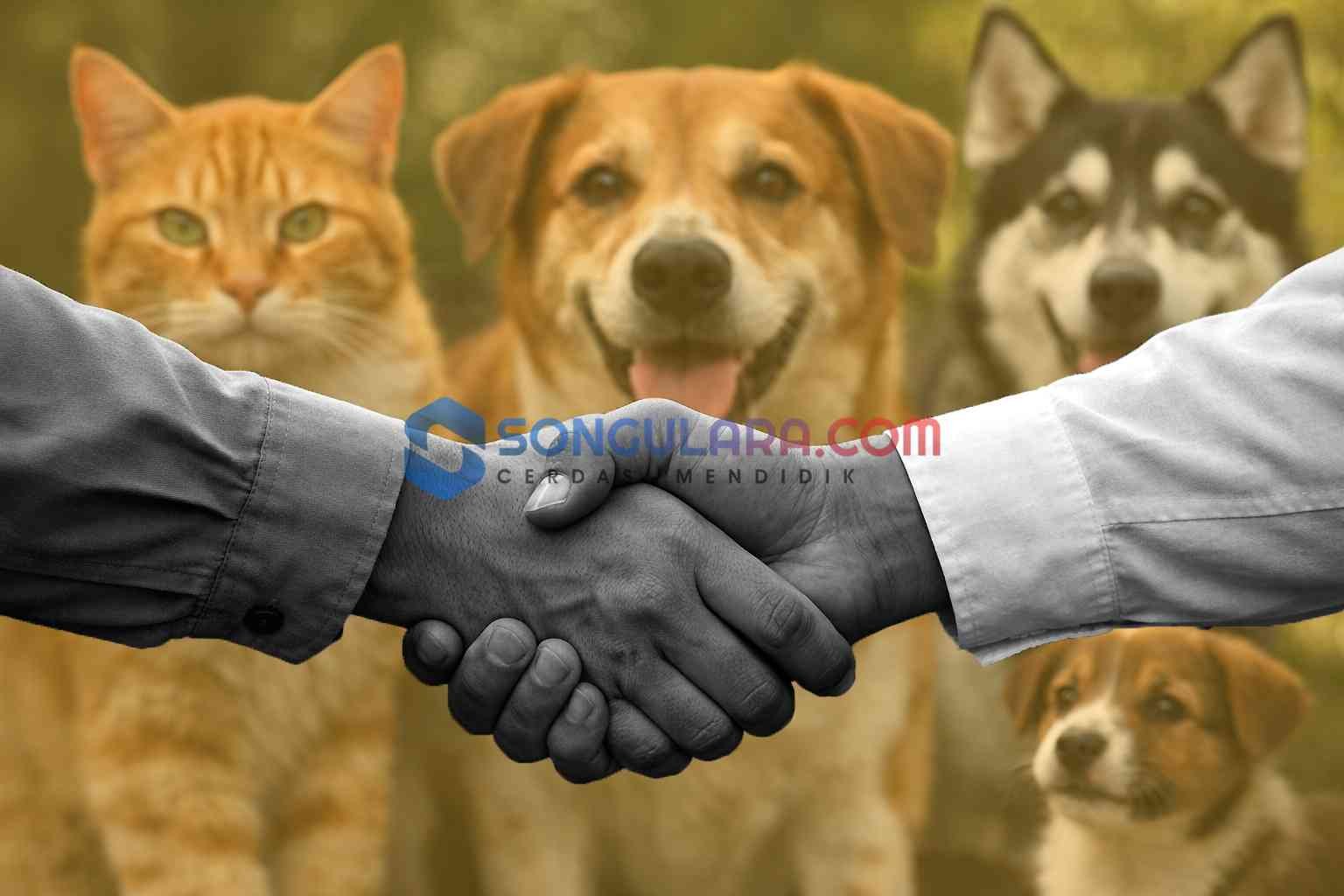 DISPKH–JAAN Teken Kerja Sama, Pengendalian Rabies dan Perdagangan Hewan Diperkuat