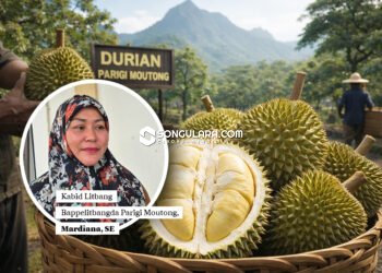 Bappelitbangda Teliti Karakteristik Durian Parigi Moutong Selama Dua Tahun