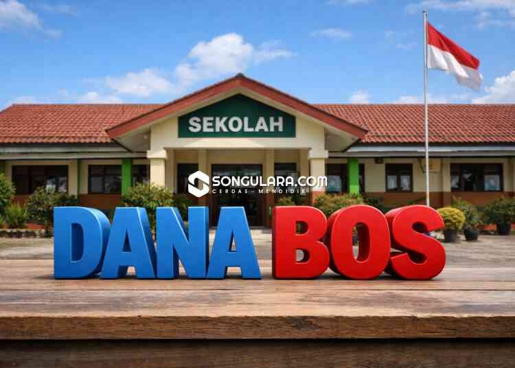 Disdikbud Parigi Moutong Tegaskan Pengelolaan Dana BOS Jadi Indikator Kinerja Kepala Sekolah