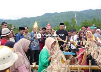Bupati Erwin Burase Janji Biayai Pembangunan Rumah Adat Olongian di Tomini