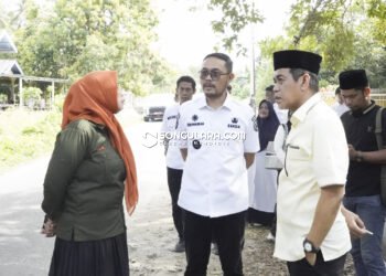 Bupati Parigi Moutong Tinjau Pemeliharaan Pohon Pelindung, Minta DLH Segera Lakukan Penataan