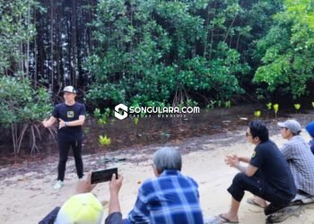 DLH Parigi Moutong Soroti Dampak Tambang terhadap Lingkungan Pesisir