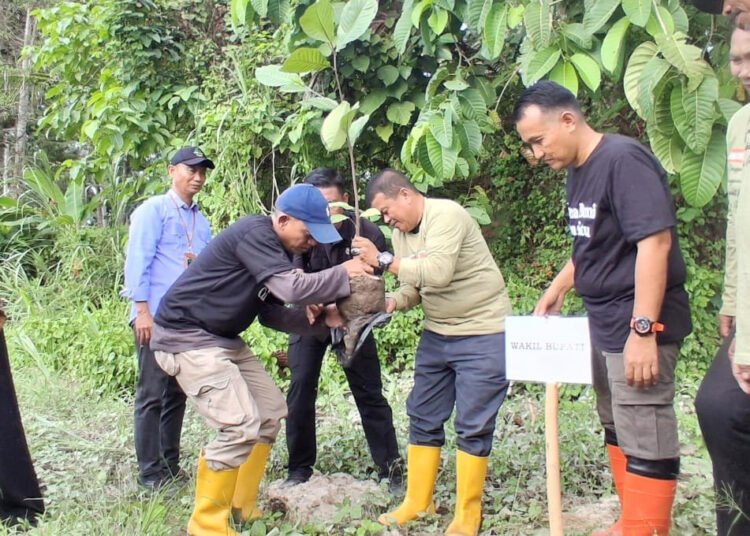Mitigasi Perubahan Iklim, Pemkab Parigi Moutong Gelar Aksi Tanam Pohon