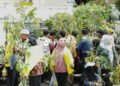 2.500 Bibit Durian Gratis Dibagikan di HUT ke-24 Parigi Moutong