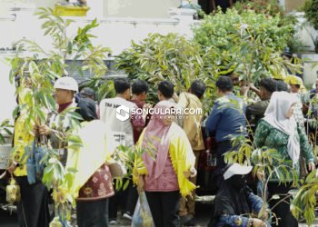 2.500 Bibit Durian Gratis Dibagikan di HUT ke-24 Parigi Moutong