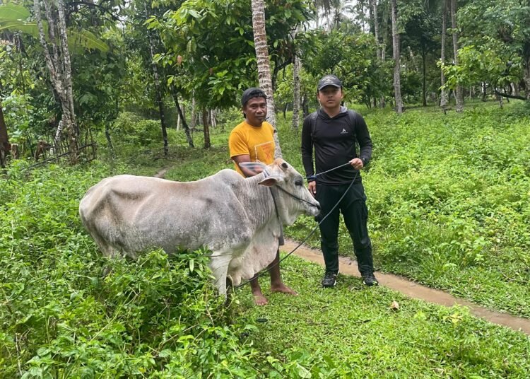 Maknai Idul Adha, Koperasi IPR Kayuboko Sejahtera Berbagi Kurban untuk Warga