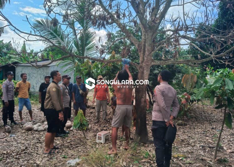 Lansia di Balinggi Ditemukan Tewas Tergantung di Pohon Mangga