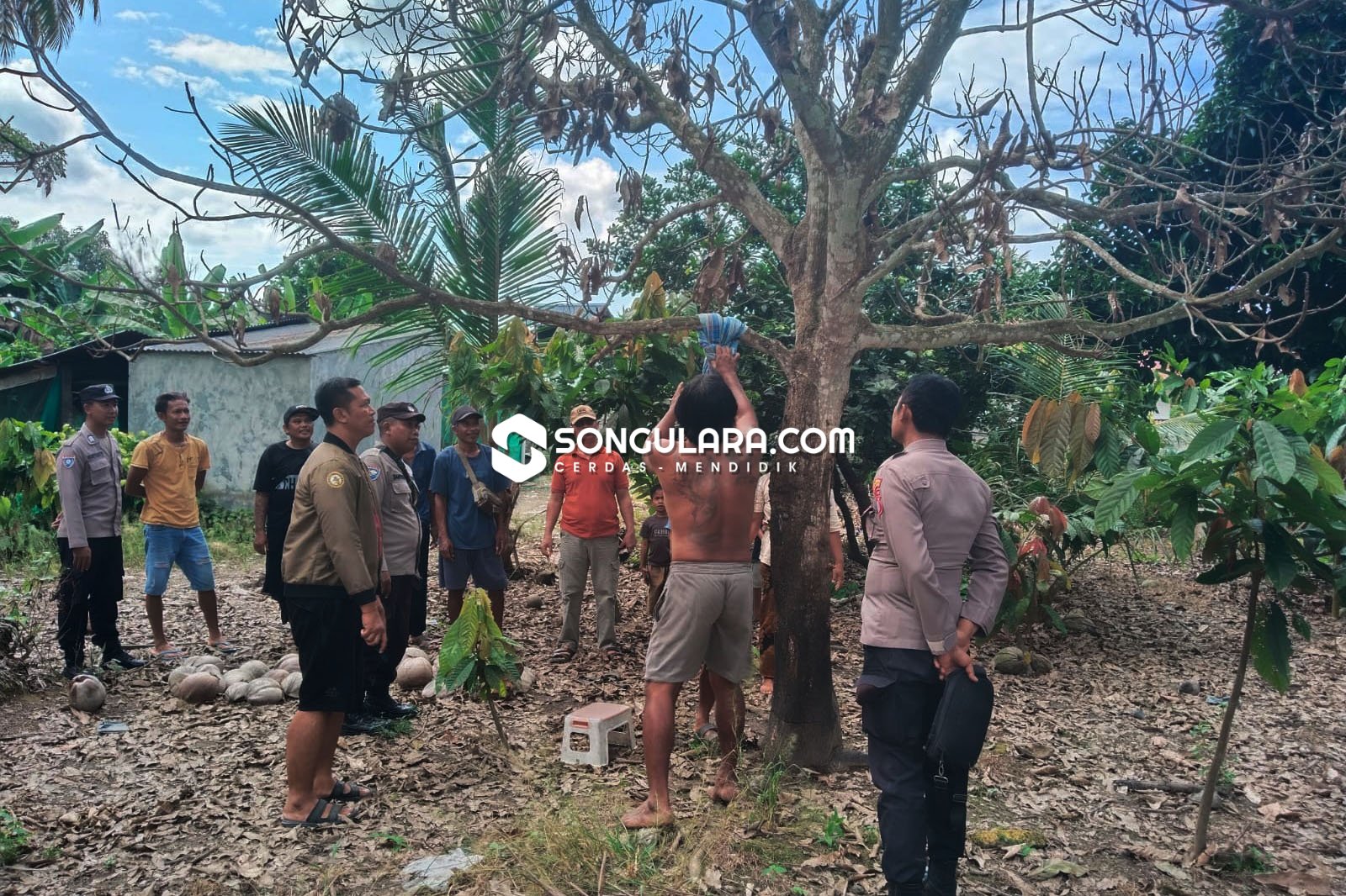 Lansia di Balinggi Ditemukan Tewas Tergantung di Pohon Mangga