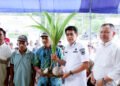 Dukung Hilirisasi Perkebunan, Bupati Erwin Burase Salurkan Bantuan Bibit Kelapa Dalam ke 16 Kelompok Tani