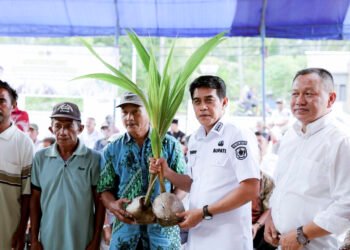Dukung Hilirisasi Perkebunan, Bupati Erwin Burase Salurkan Bantuan Bibit Kelapa Dalam ke 16 Kelompok Tani
