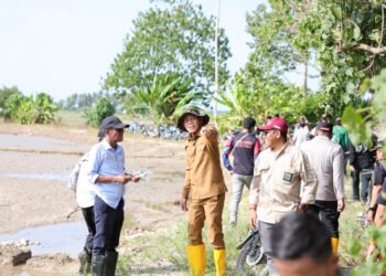 Gerak Cepat Bupati Erwin Burase Tangani Infrastruktur dan Akses Warga Pasca Banjir