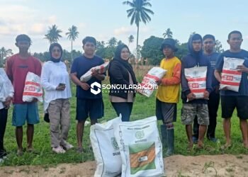 Komandan Srikandi LMP Parigi Moutong Serahkan Bantuan Bibit Jagung ke Petani Lobu Mandiri