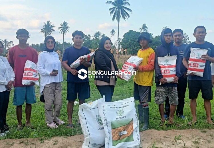 Komandan Srikandi LMP Parigi Moutong Serahkan Bantuan Bibit Jagung ke Petani Lobu Mandiri