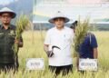 Panen Raya di Balinggi, Bupati Erwin Ingatkan Ancaman Alih Fungsi Lahan Pertanian