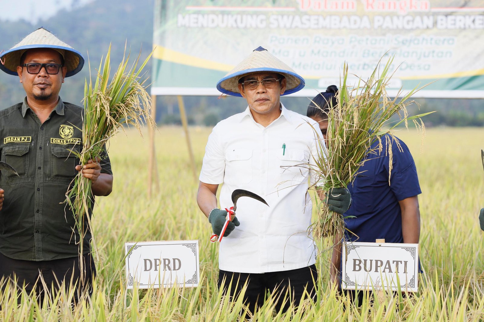 Panen Raya di Balinggi, Bupati Erwin Ingatkan Ancaman Alih Fungsi Lahan Pertanian