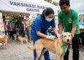 Vaksinasi Rabies Gratis Digelar Sepanjang September di Parigi Moutong