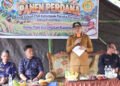 Erwin Burase Temui Petani Kasimbar, Keluhan Penyuluh dan Alsintan Mengemuka